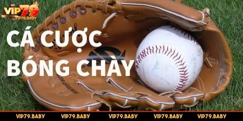 Tìm hiểu loại hình cá cược bóng chày