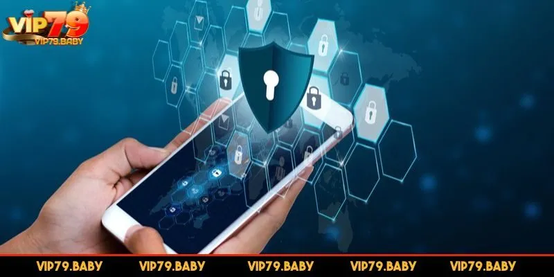 VIP79 hỗ trợ đá thiết bị cho thành viên
